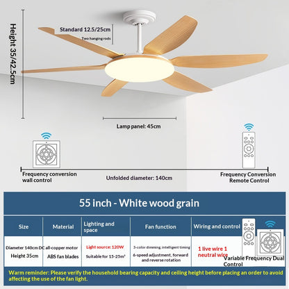 AeroGlow Modern Ceiling Fan Light