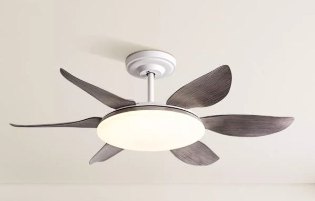 Home Dining Roomliving Room Ceiling Fan Light
