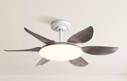Home Dining Roomliving Room Ceiling Fan Light
