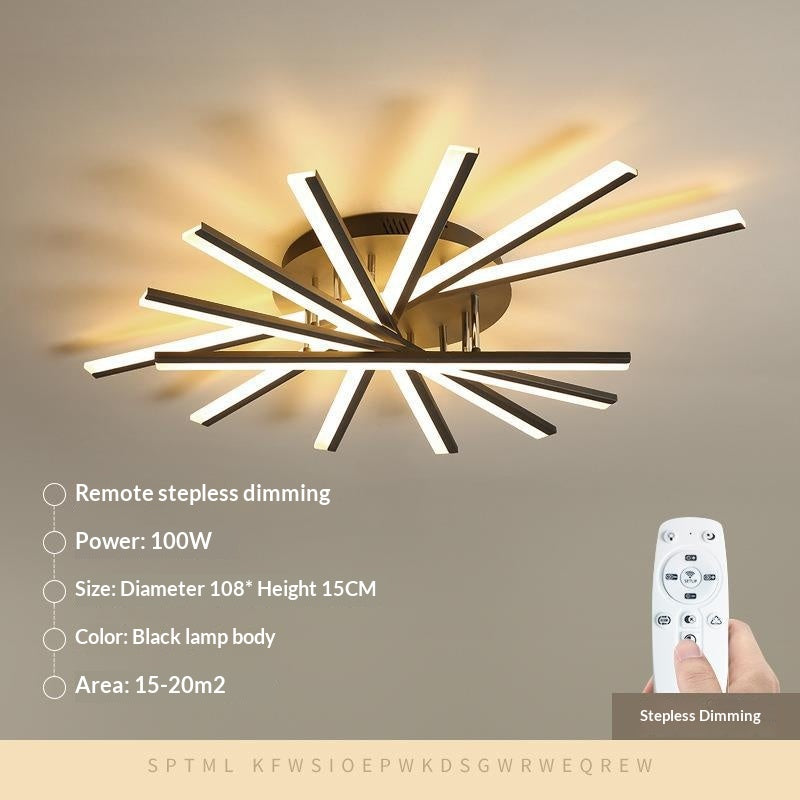 Simple Modern Home Ceiling Light Fixture